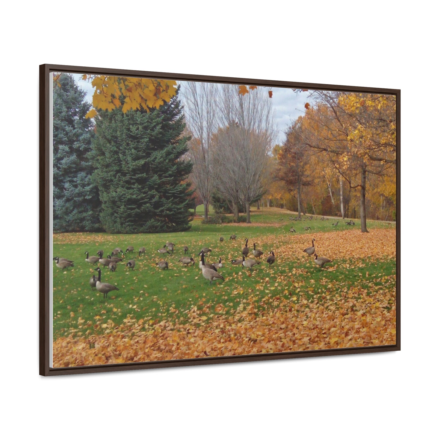 Autumn Geese Gallery Canvas Wraps Framed