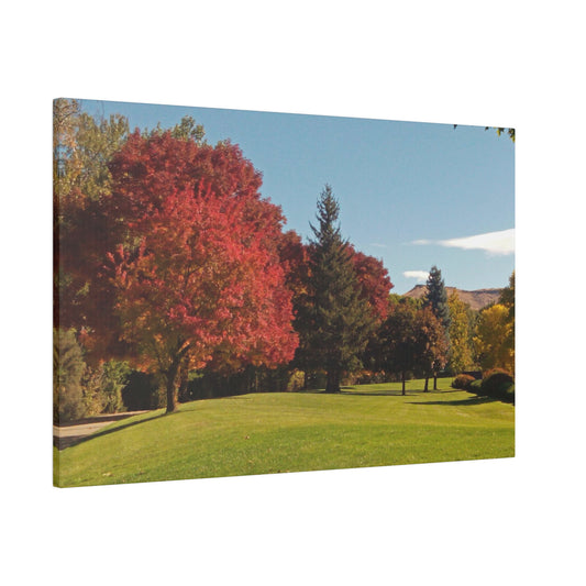 Autumn Lawn Matte Canvas