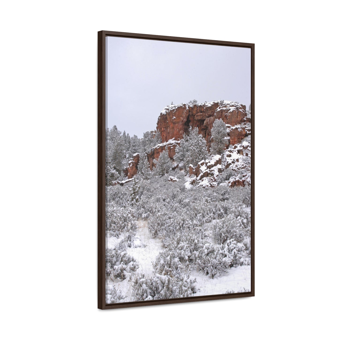 Winter Cliff Gallery Canvas Wraps Framed