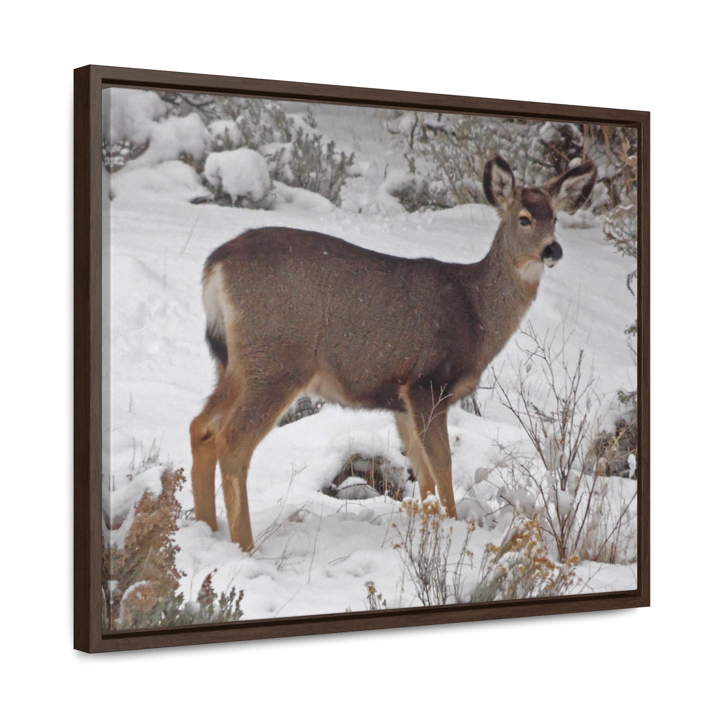 Snowy Deer Gallery Canvas Wraps Framed