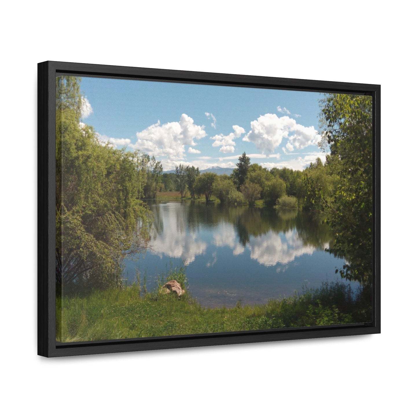 Peaceful Pond Gallery Canvas Wraps Framed