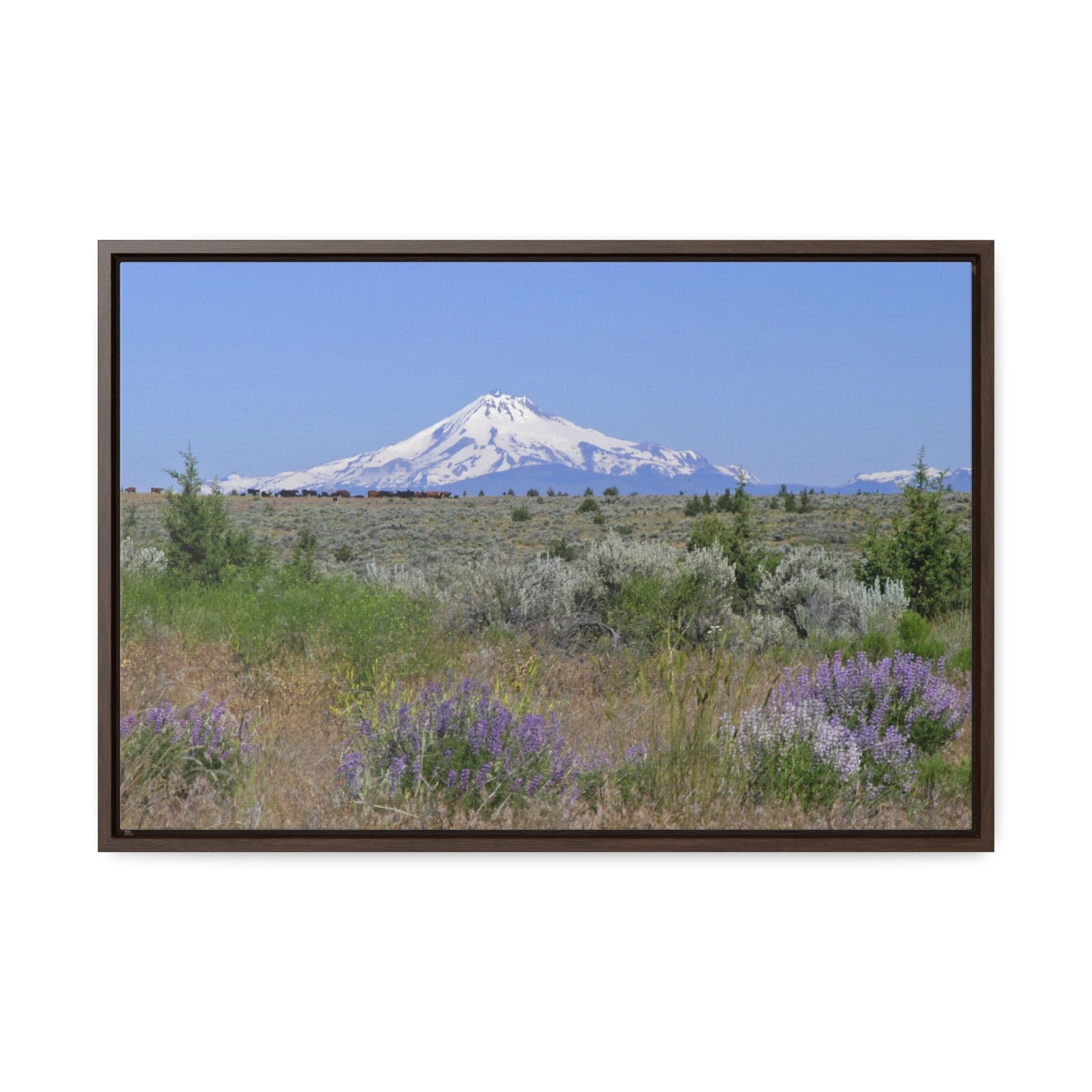 Lupine & Sage Mountain Gallery Canvas Wraps Framed