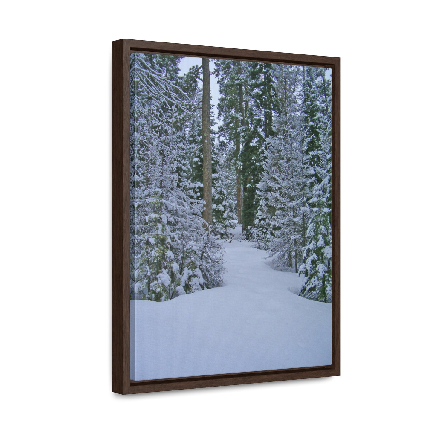 Snowy Woods Gallery Canvas Wraps Framed