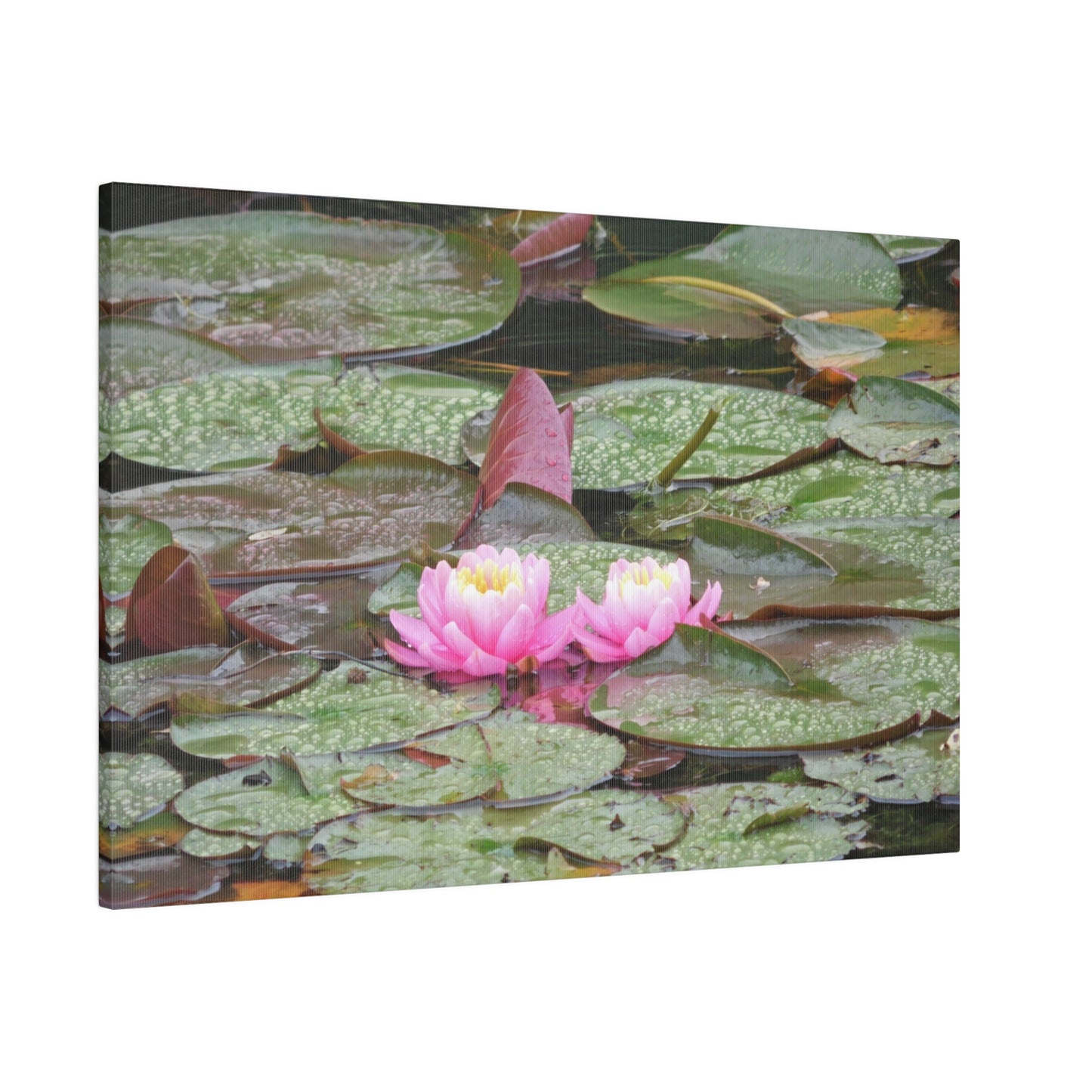 Water Lilies Matte Canvas