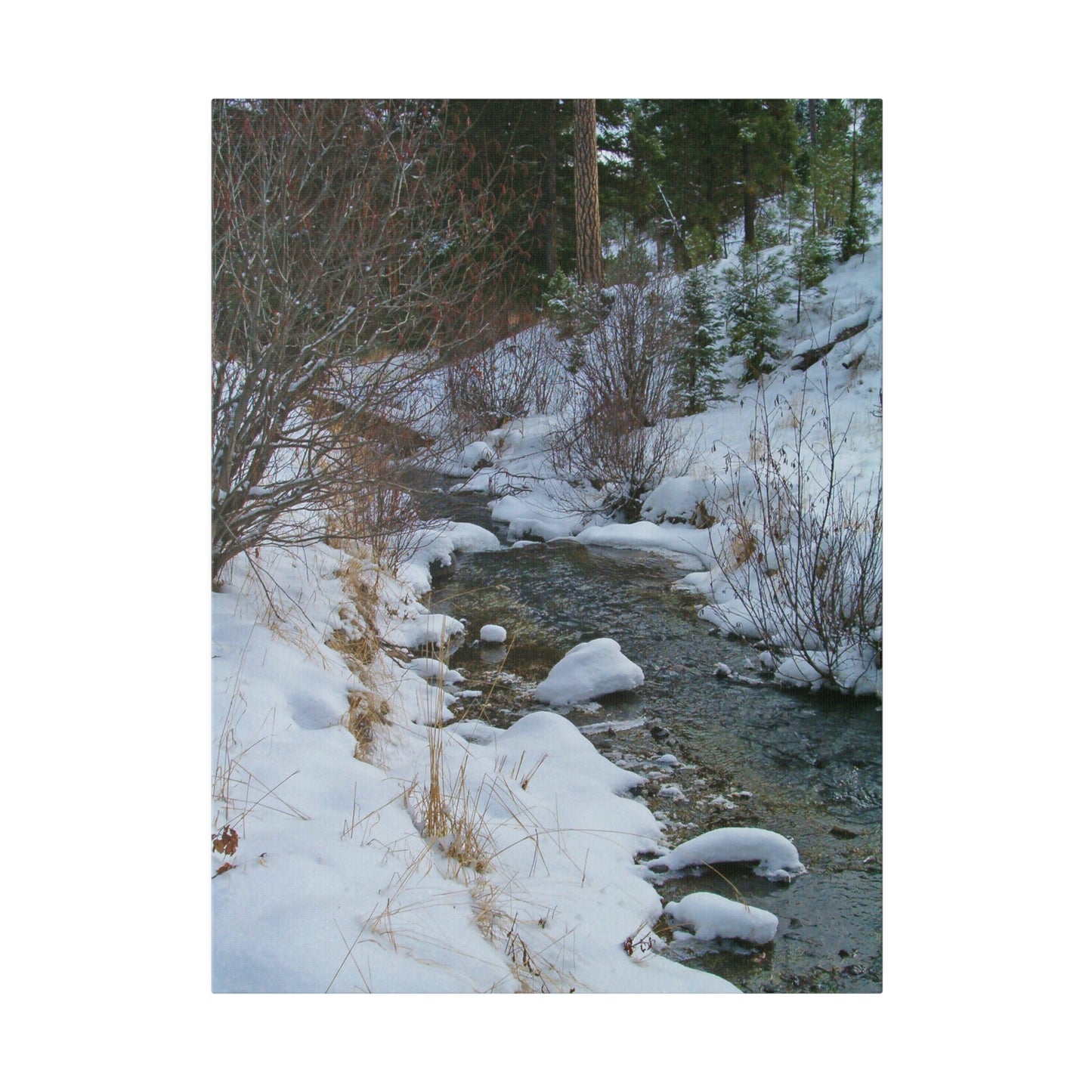 Snowy Creek Matte Canvas