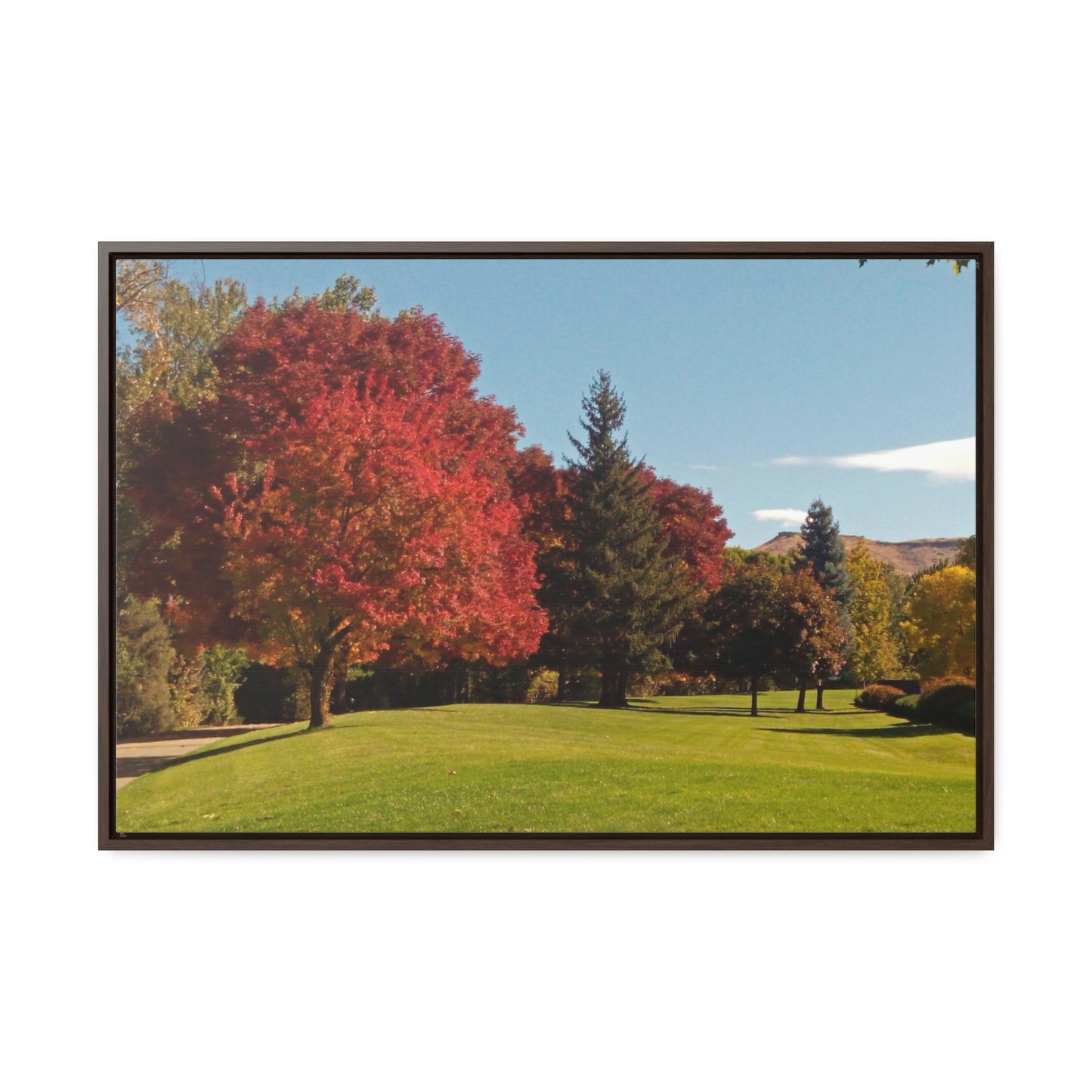 Autumn Lawn Gallery Canvas Wraps Framed
