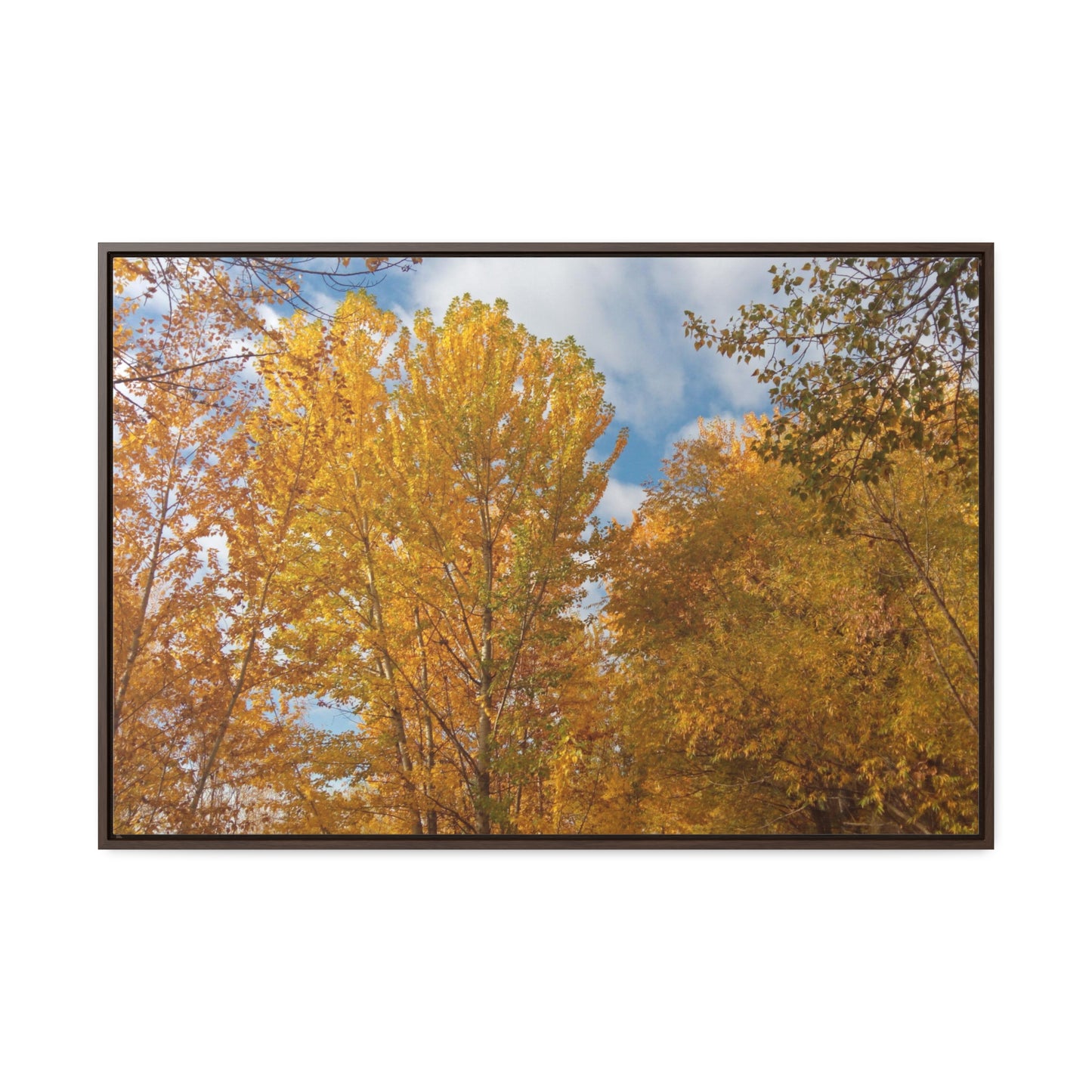Autumn Gold Gallery Canvas Wraps Framed