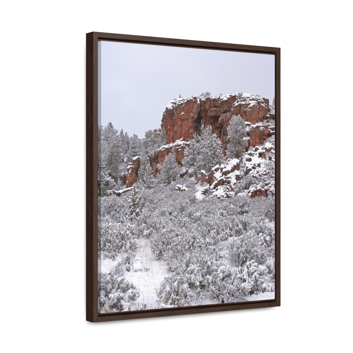 Winter Cliff Gallery Canvas Wraps Framed