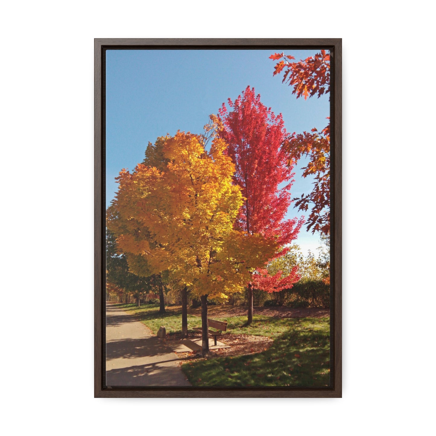 Autumn Bench Gallery Canvas Wraps Framed