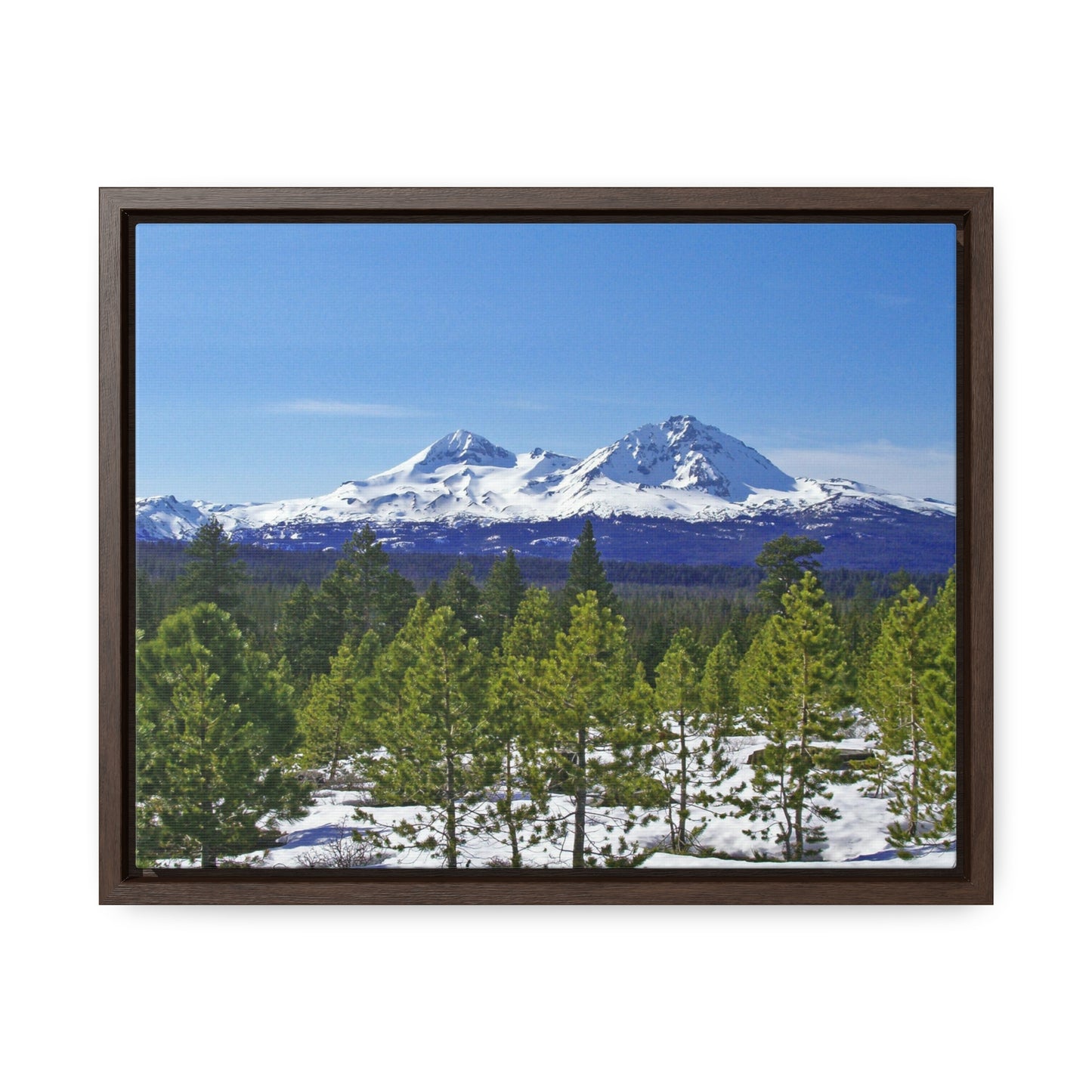 Winter Two Sisters Gallery Canvas Wraps Framed