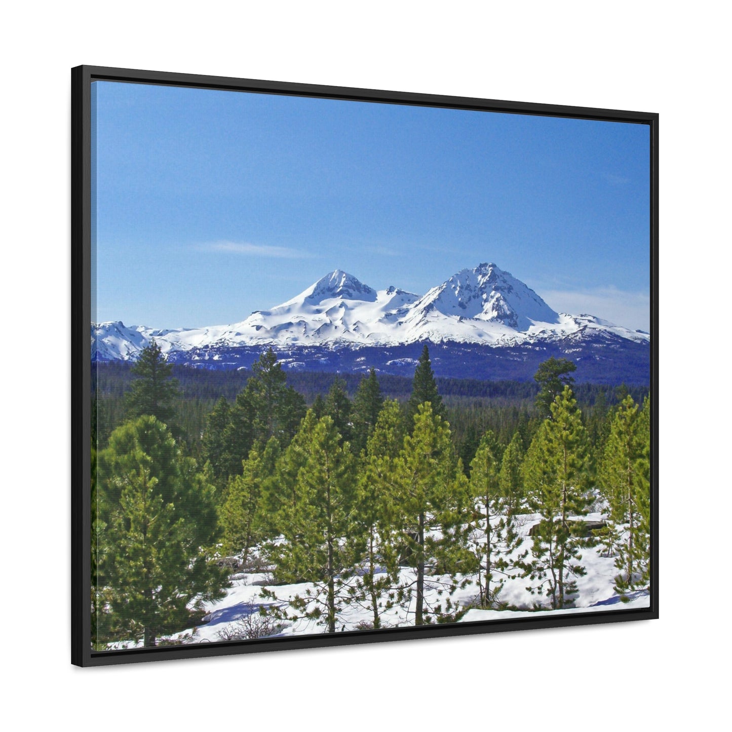 Winter Two Sisters Gallery Canvas Wraps Framed