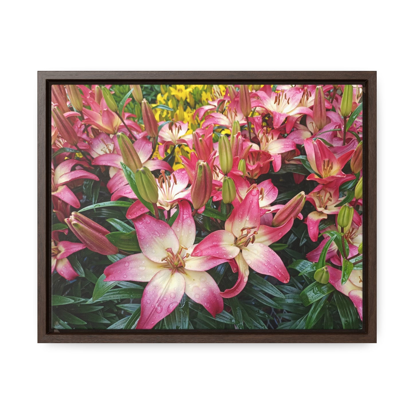 Lovely Lilies Gallery Canvas Wraps Framed