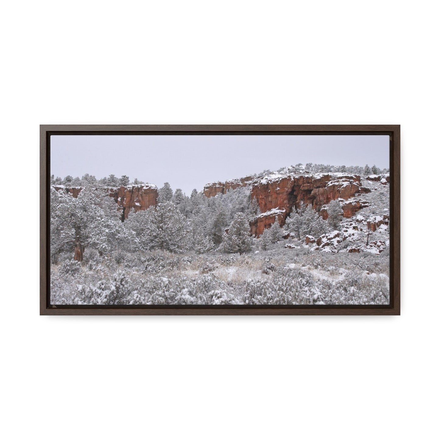 Winter Canyon Gallery Canvas Wraps Framed