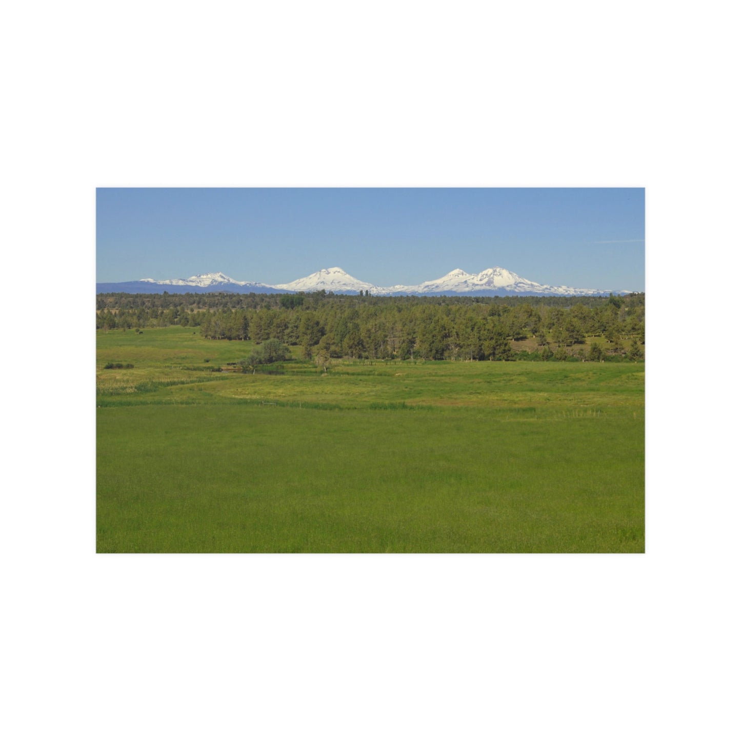 Mountain Meadow Satin Posters