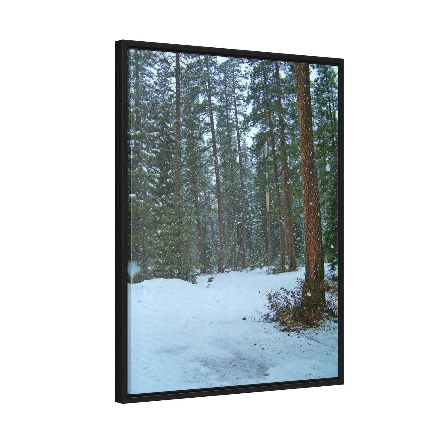 Snowfall Gallery Canvas Wraps Framed