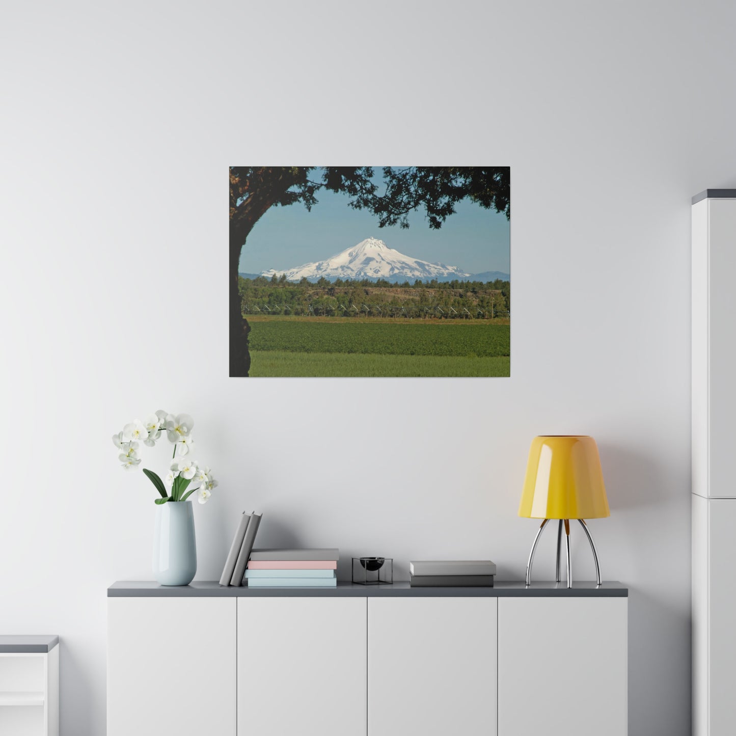 Juniper Framed Mountain Matte Canvas