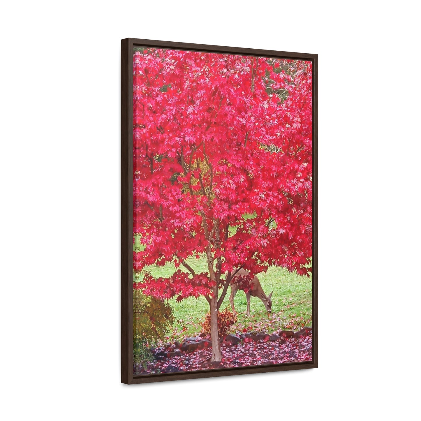 Autumn Deer Gallery Canvas Wraps Framed