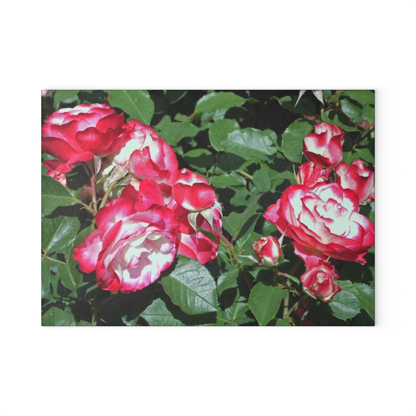 Romantic Roses Glass Cutting Board Hand Wash