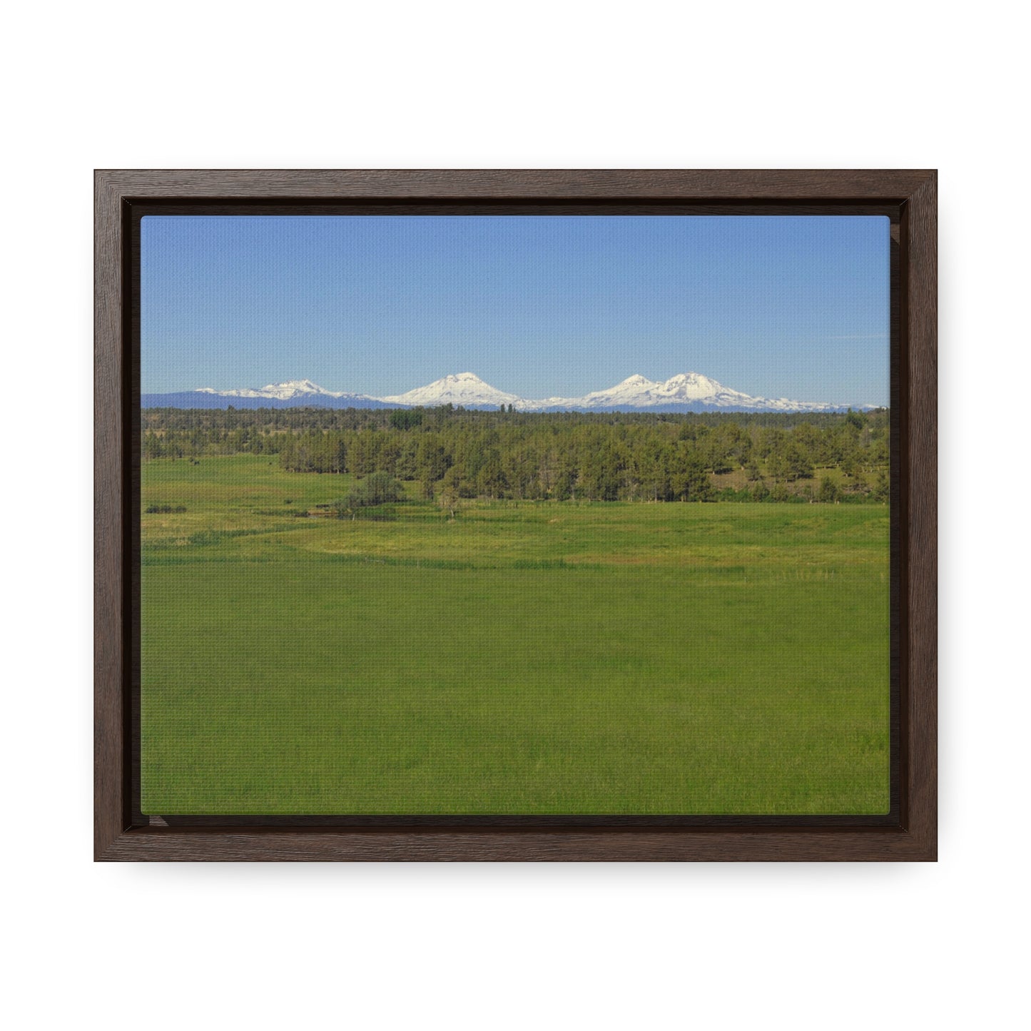 Mountain Meadow Gallery Canvas Wraps Framed