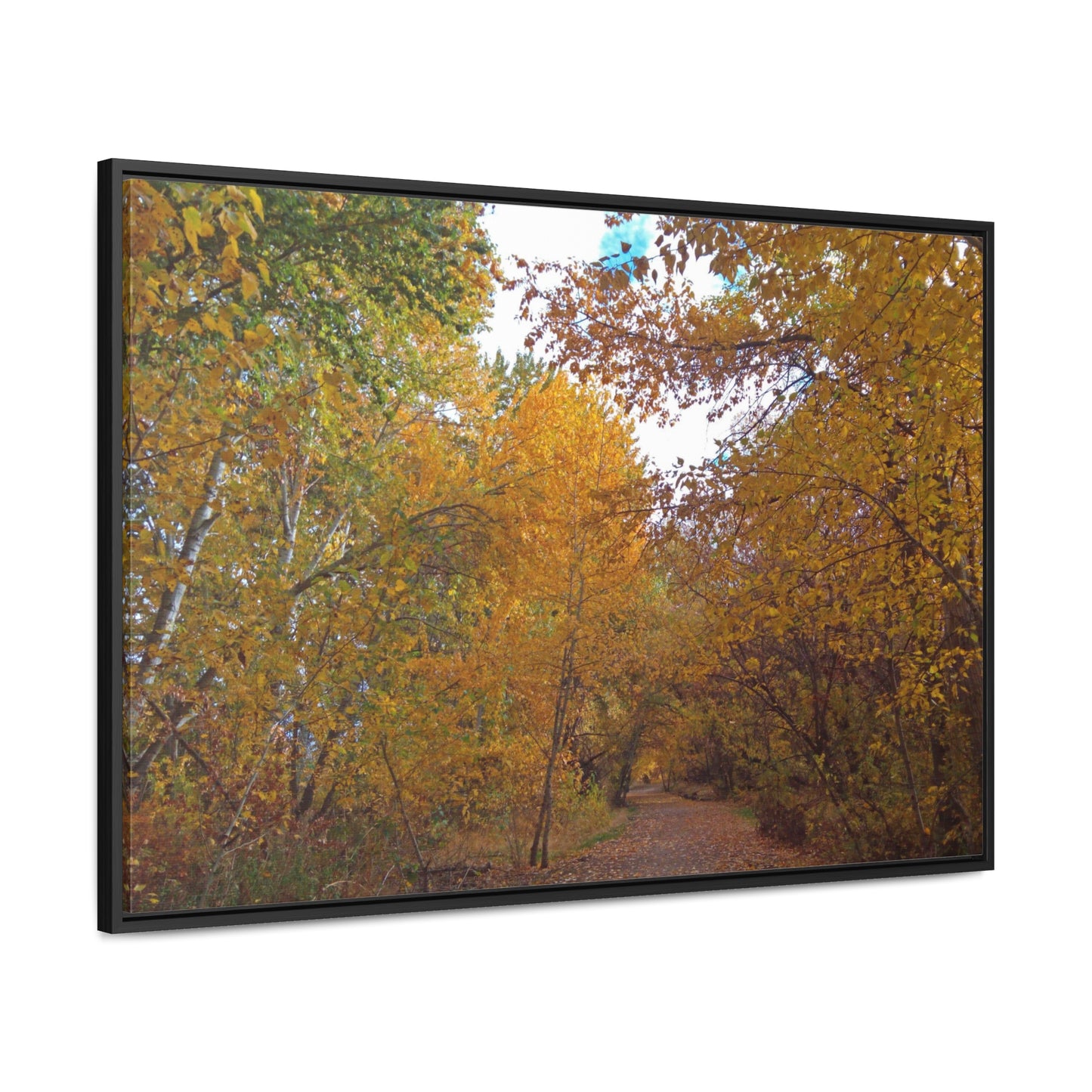 Autumn Lane Gallery Canvas Wraps Framed