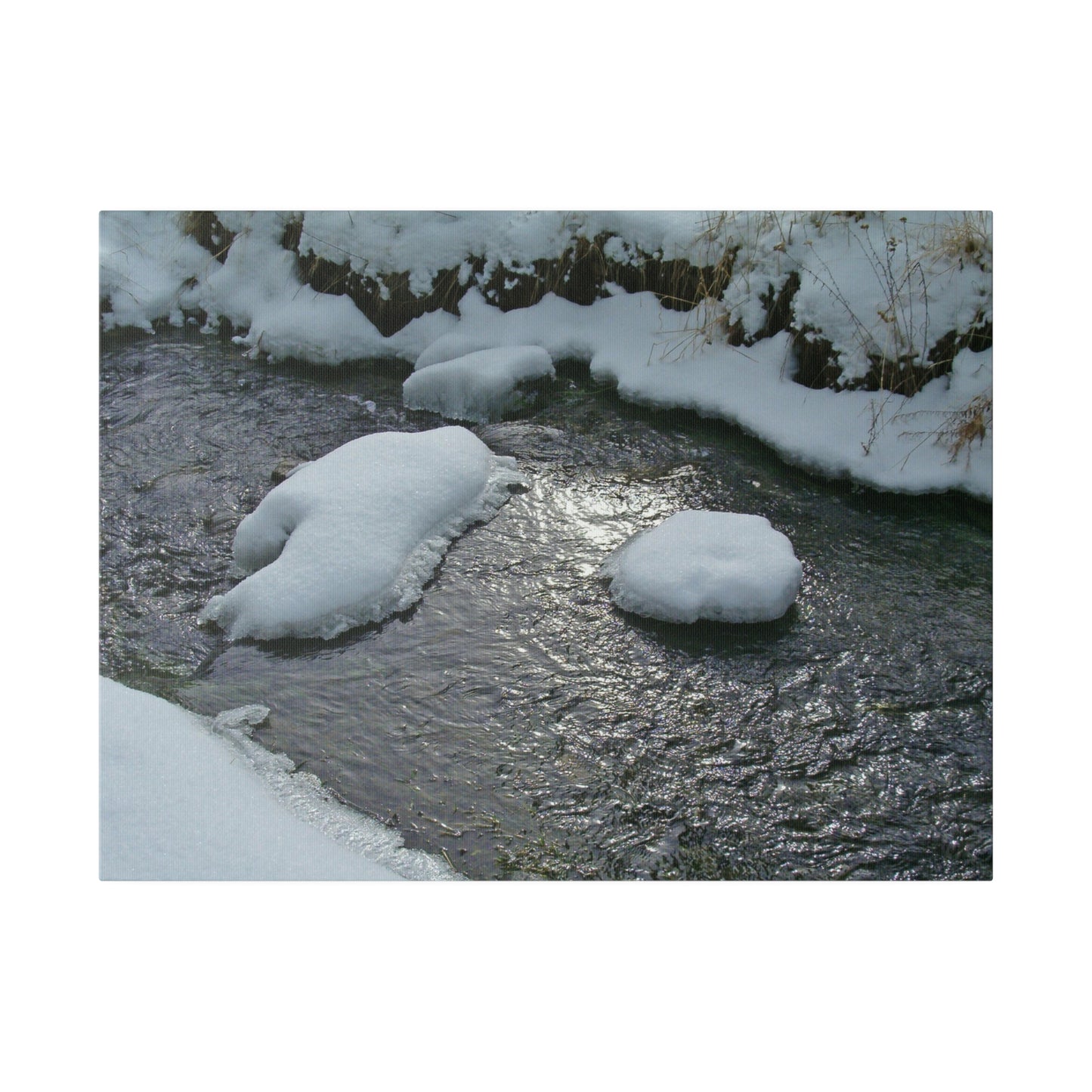 Winter Reflection Matte Canvas
