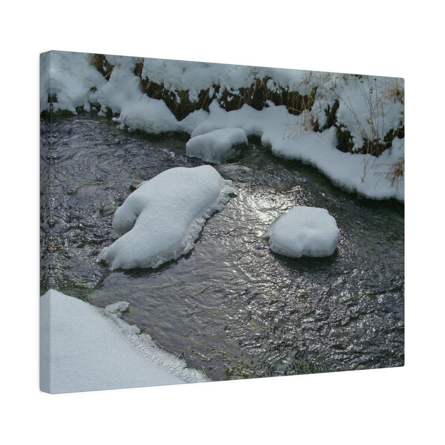 Winter Reflection Matte Canvas