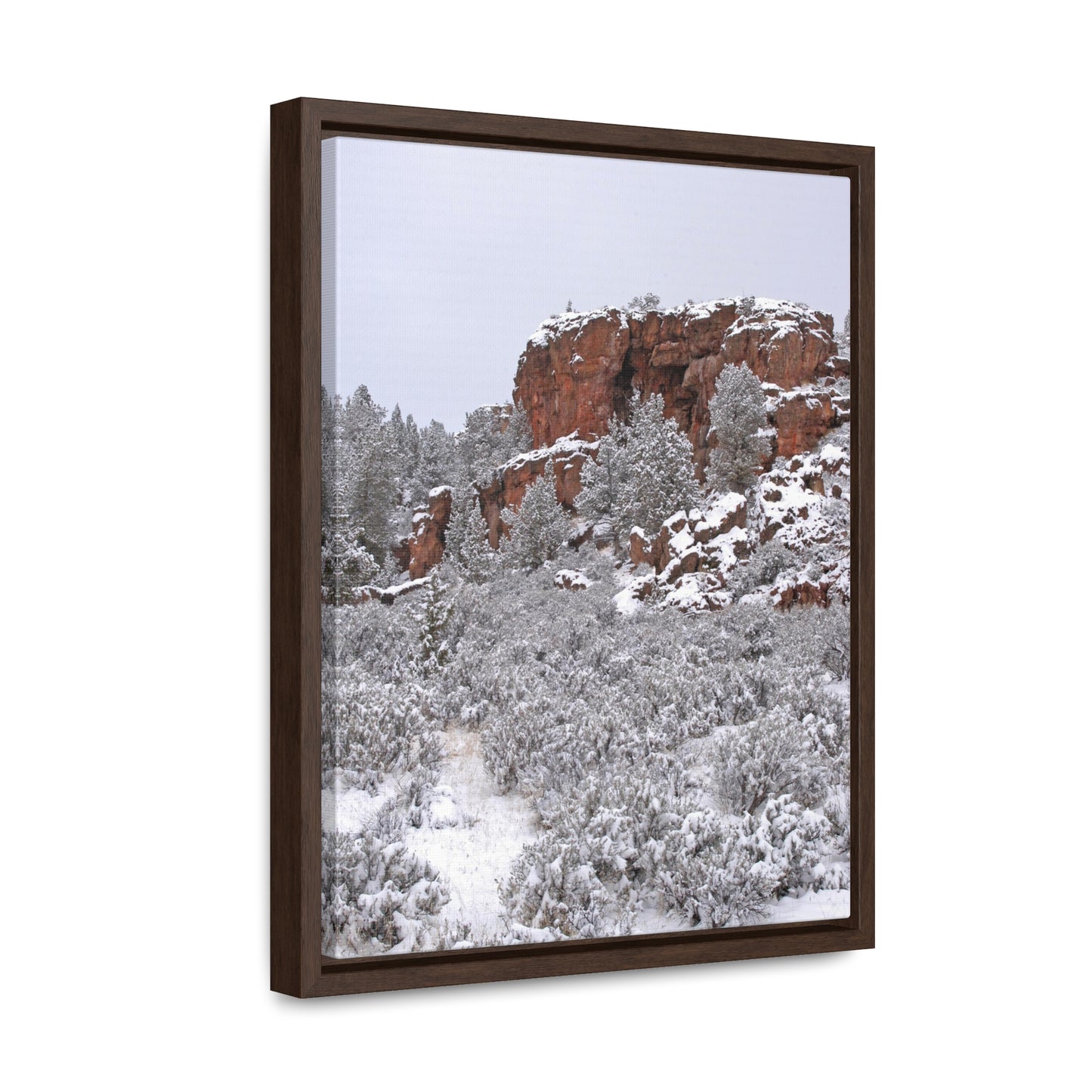 Winter Cliff Gallery Canvas Wraps Framed