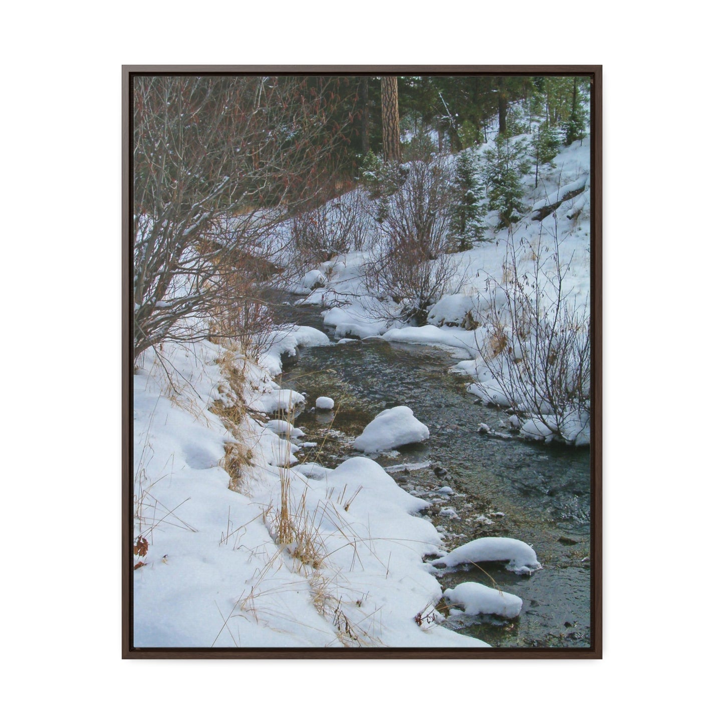 Snowy Creek Gallery Canvas Wraps Framed