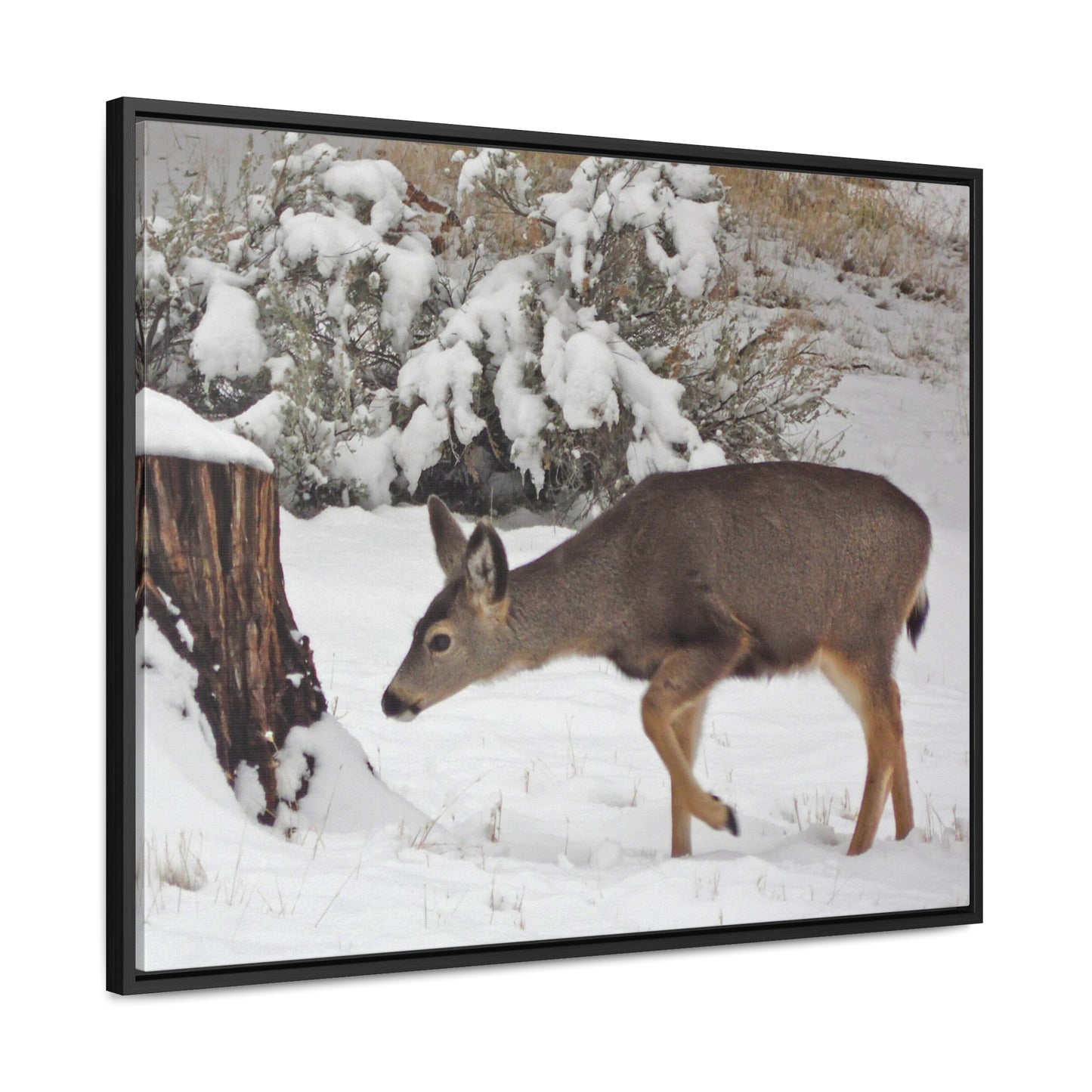 Winter Deer Gallery Canvas Wraps Framed