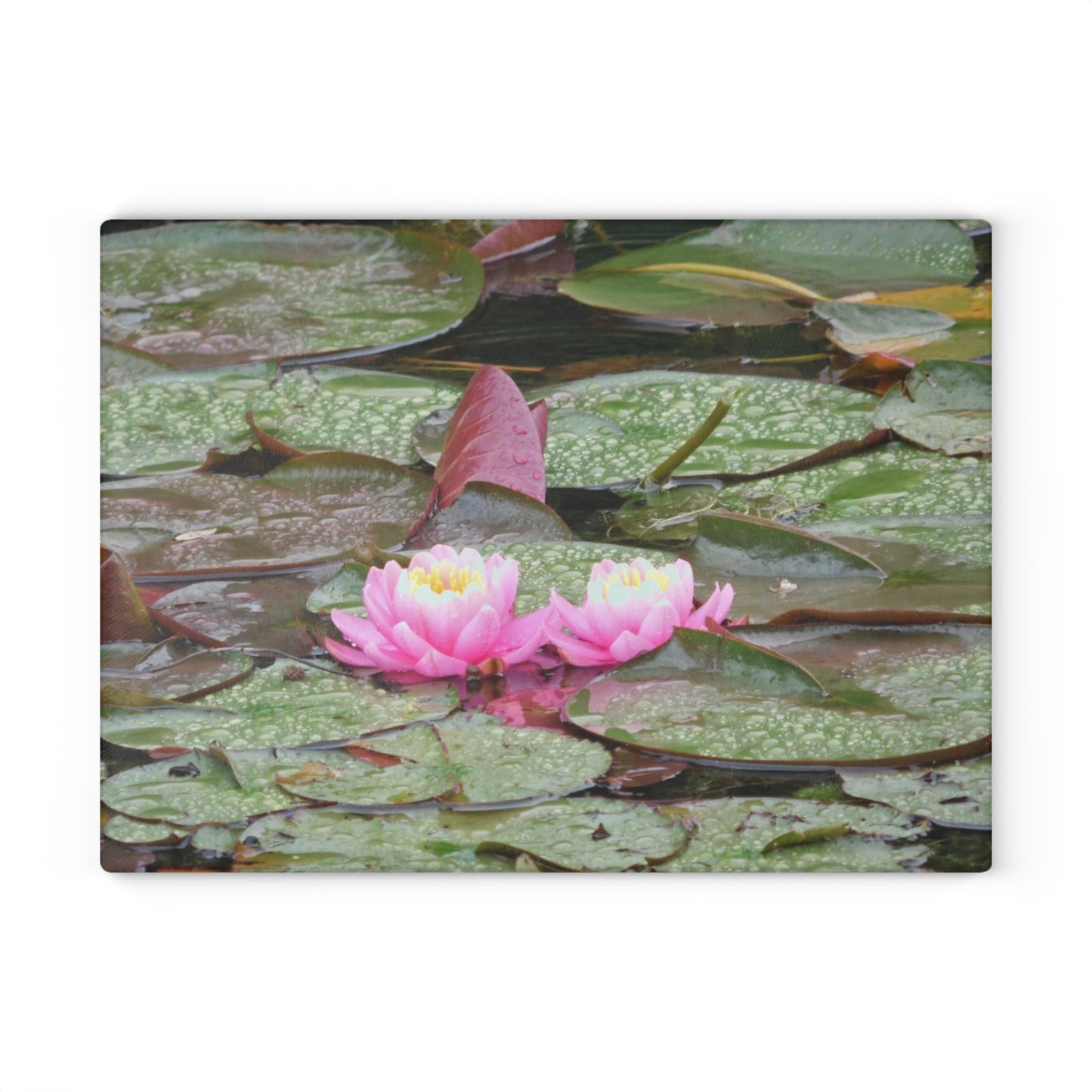 Water Lilies Glass Cutting Board Hand Wash