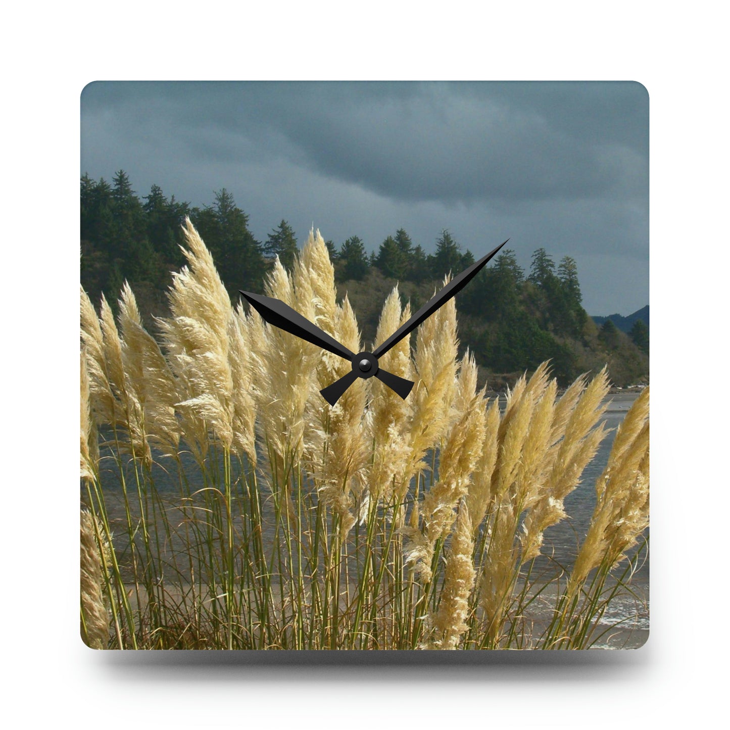 Golden Coastal Pampas Acrylic Wall Clock