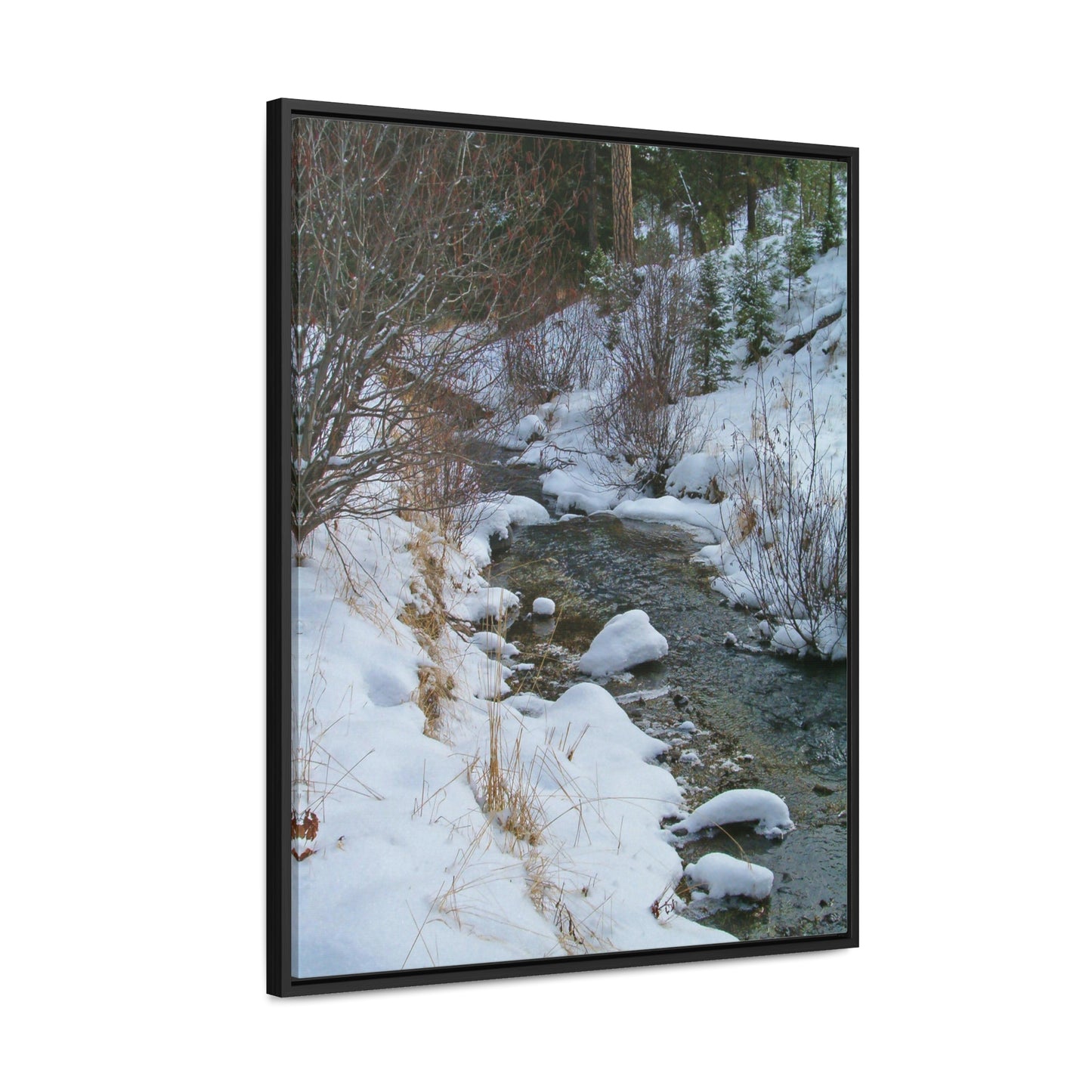 Snowy Creek Gallery Canvas Wraps Framed