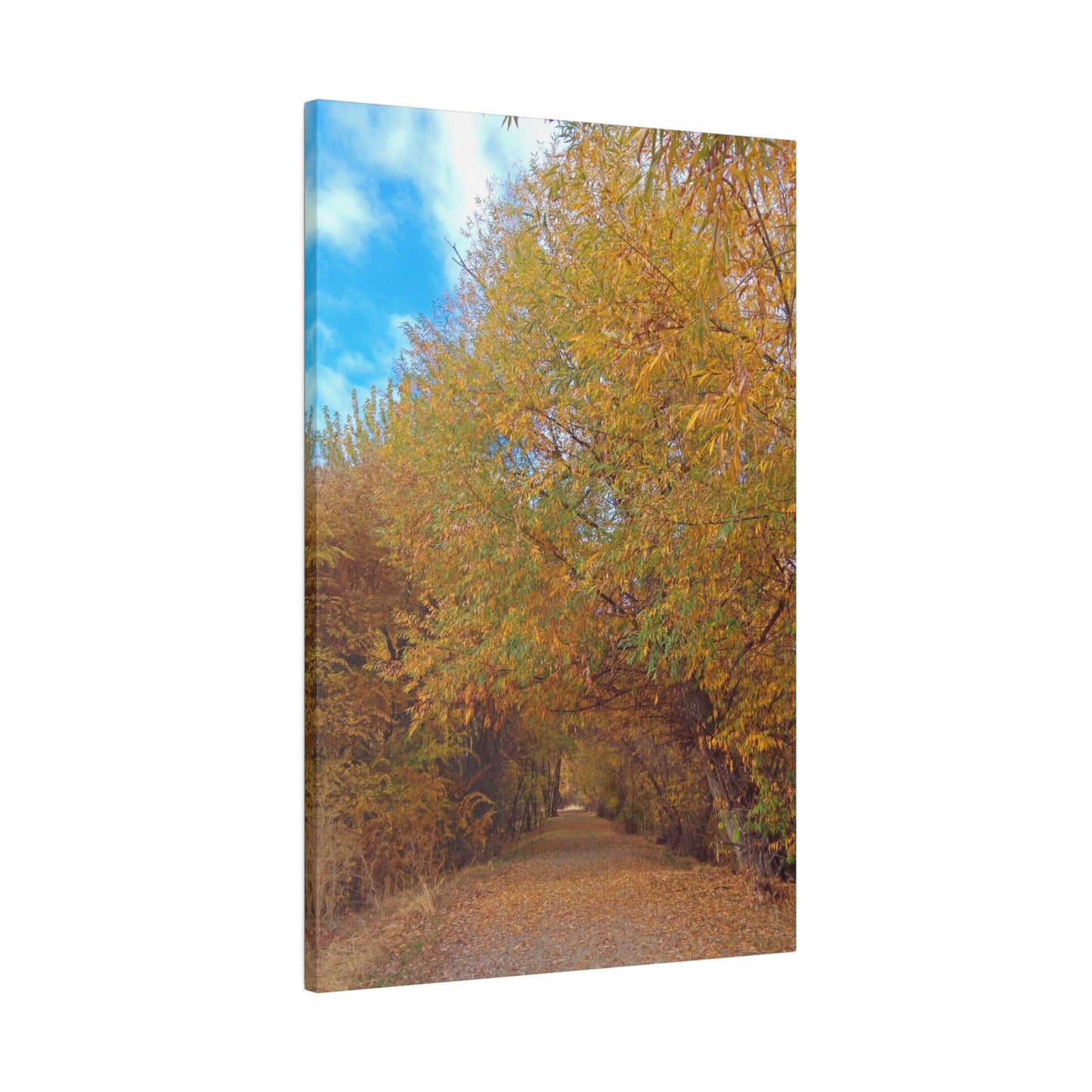 Autumn Path Matte Canvas