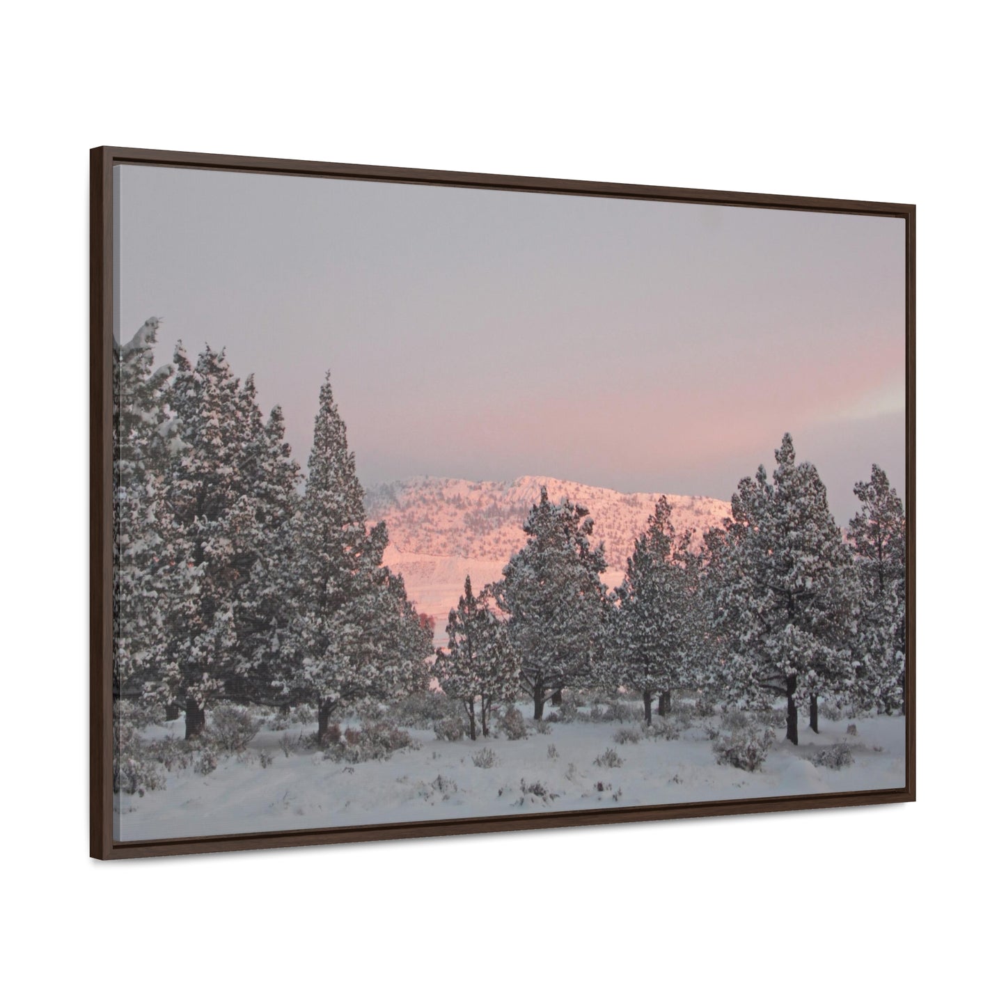 Winter Sunset Gallery Canvas Wraps Framed