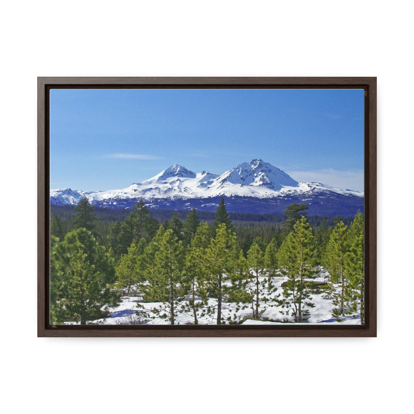 Winter Two Sisters Gallery Canvas Wraps Framed