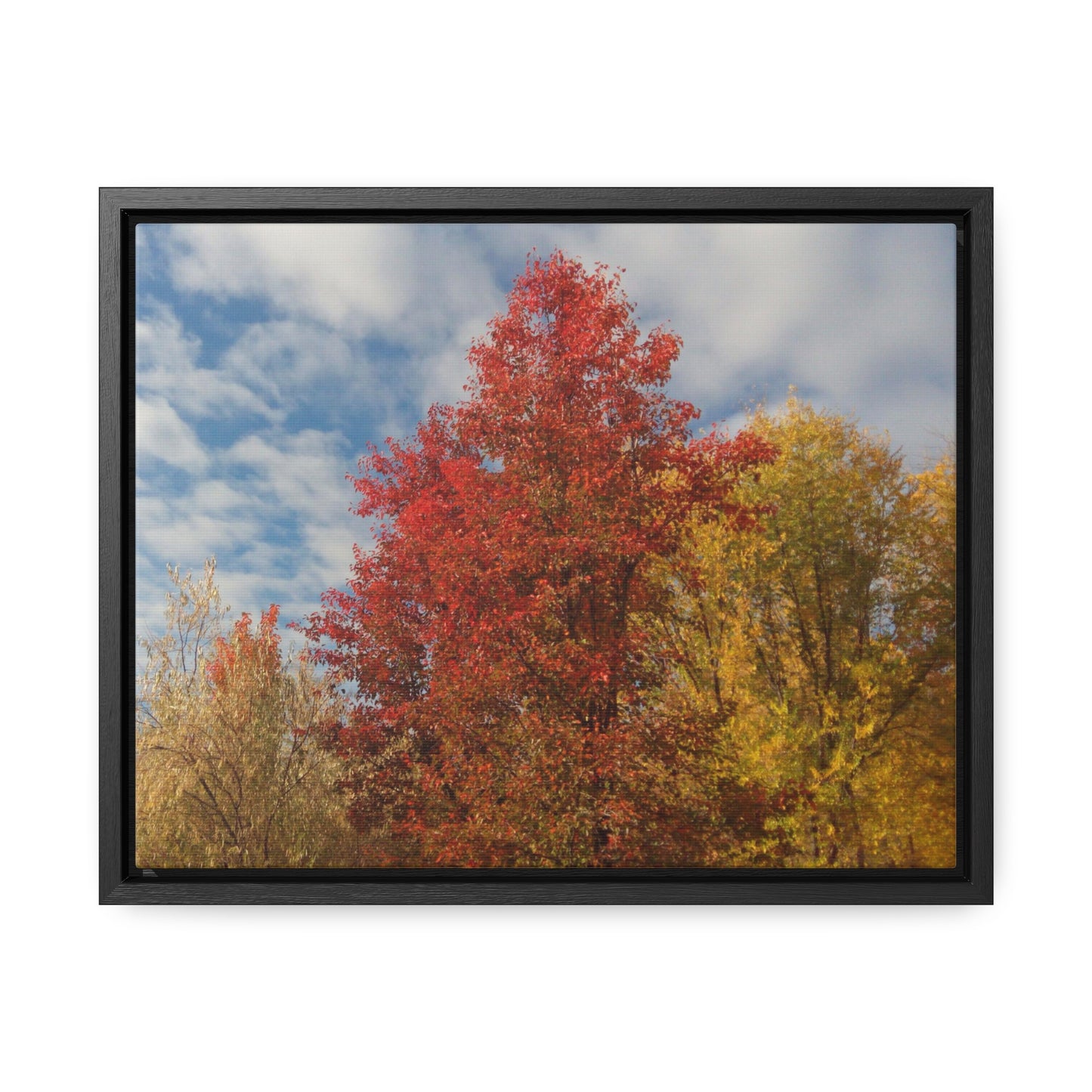 Autumn Sky Gallery Canvas Wraps Framed
