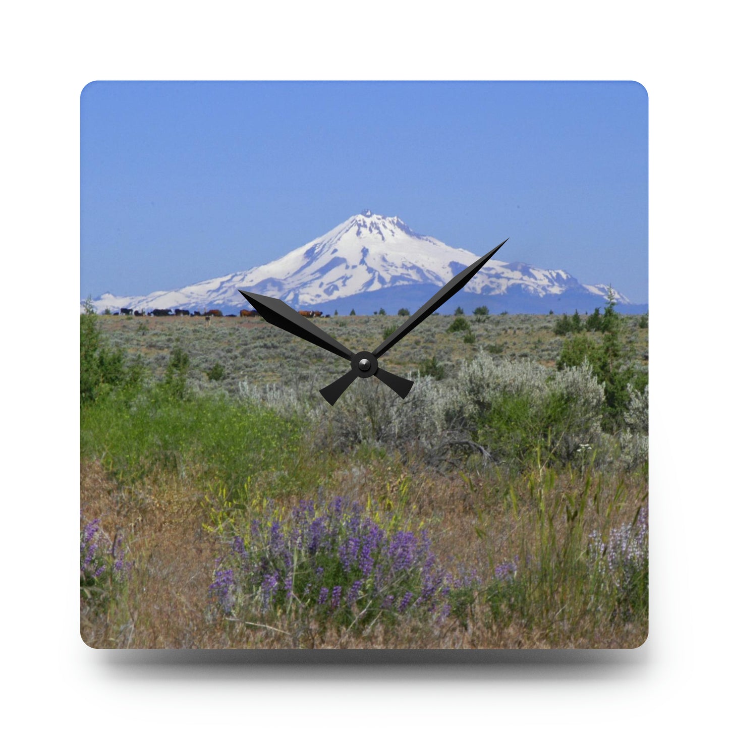 Lupine & Sage Mountain Acrylic Wall Clock