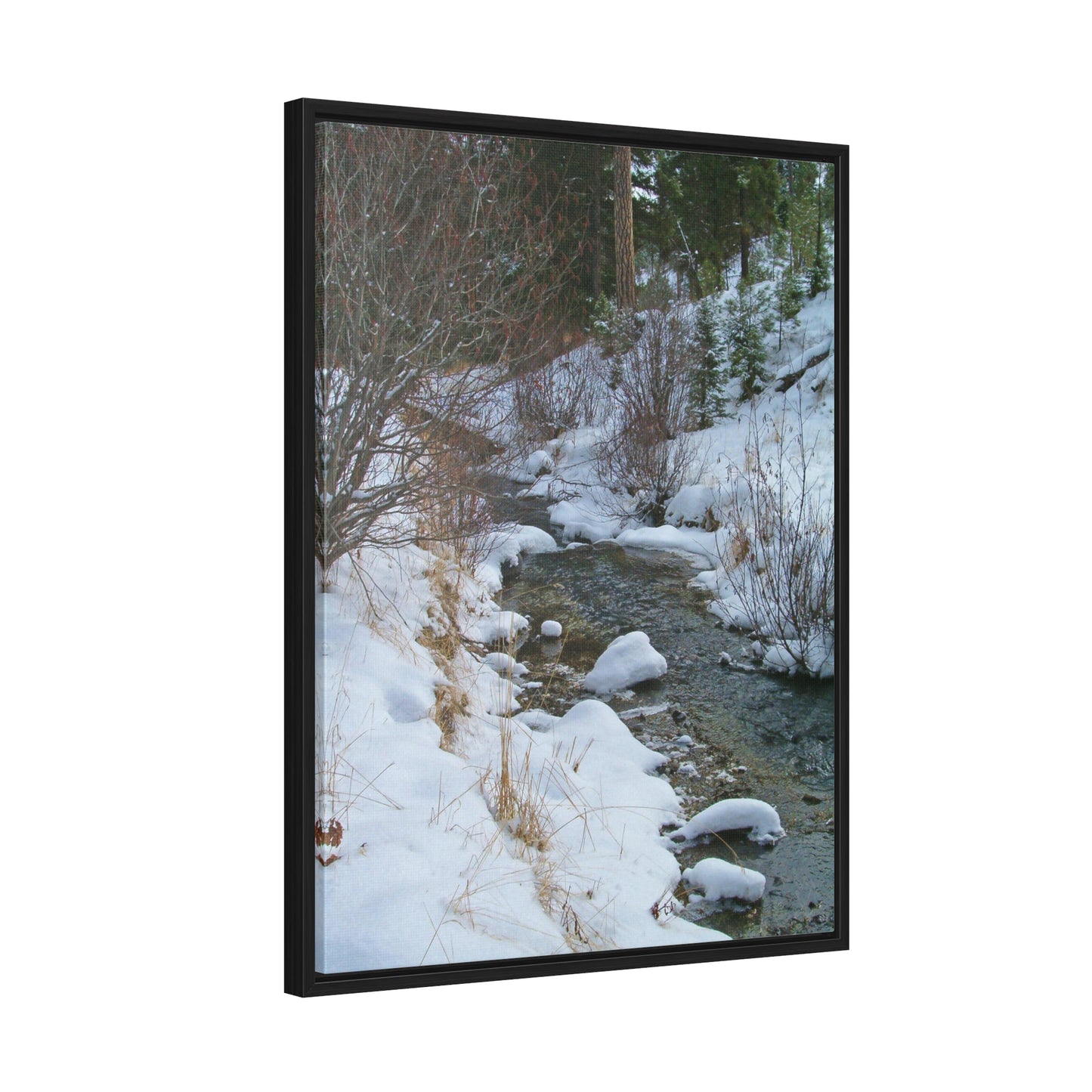 Snowy Creek Gallery Canvas Wraps Framed