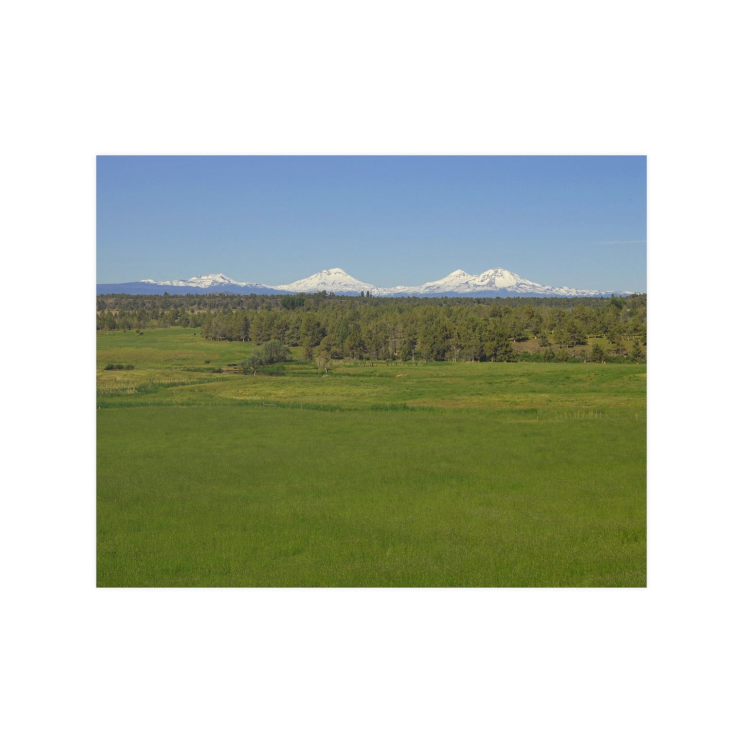 Mountain Meadow Satin Posters