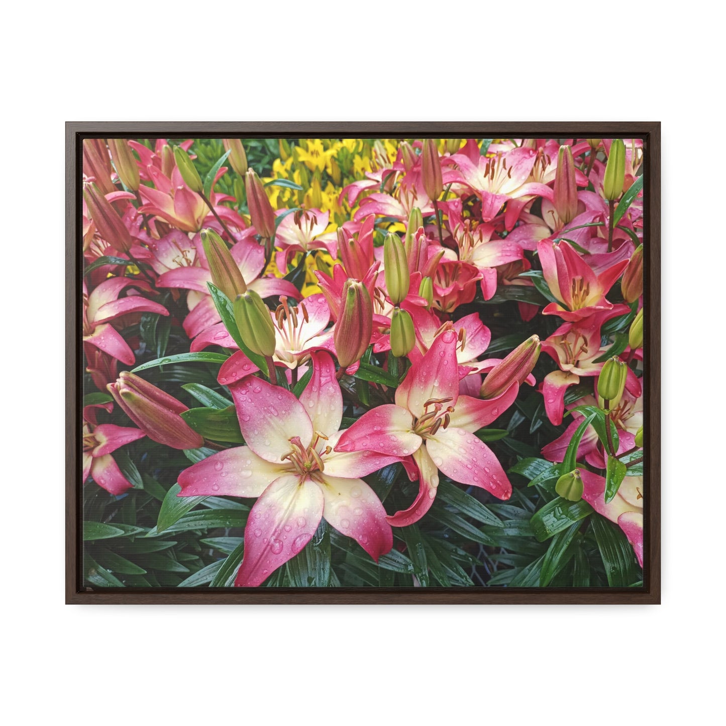 Lovely Lilies Gallery Canvas Wraps Framed