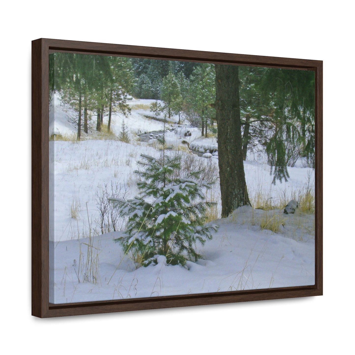 Christmas Tree Creek Gallery Canvas Wraps Framed