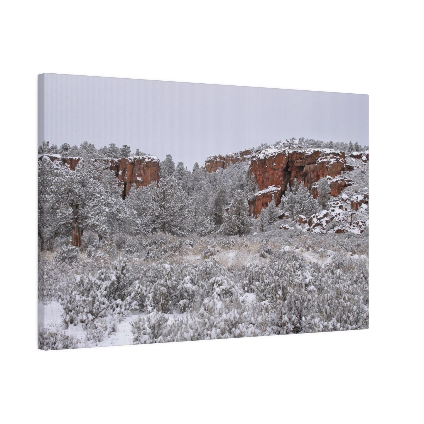 Winter Canyon Matte Canvas