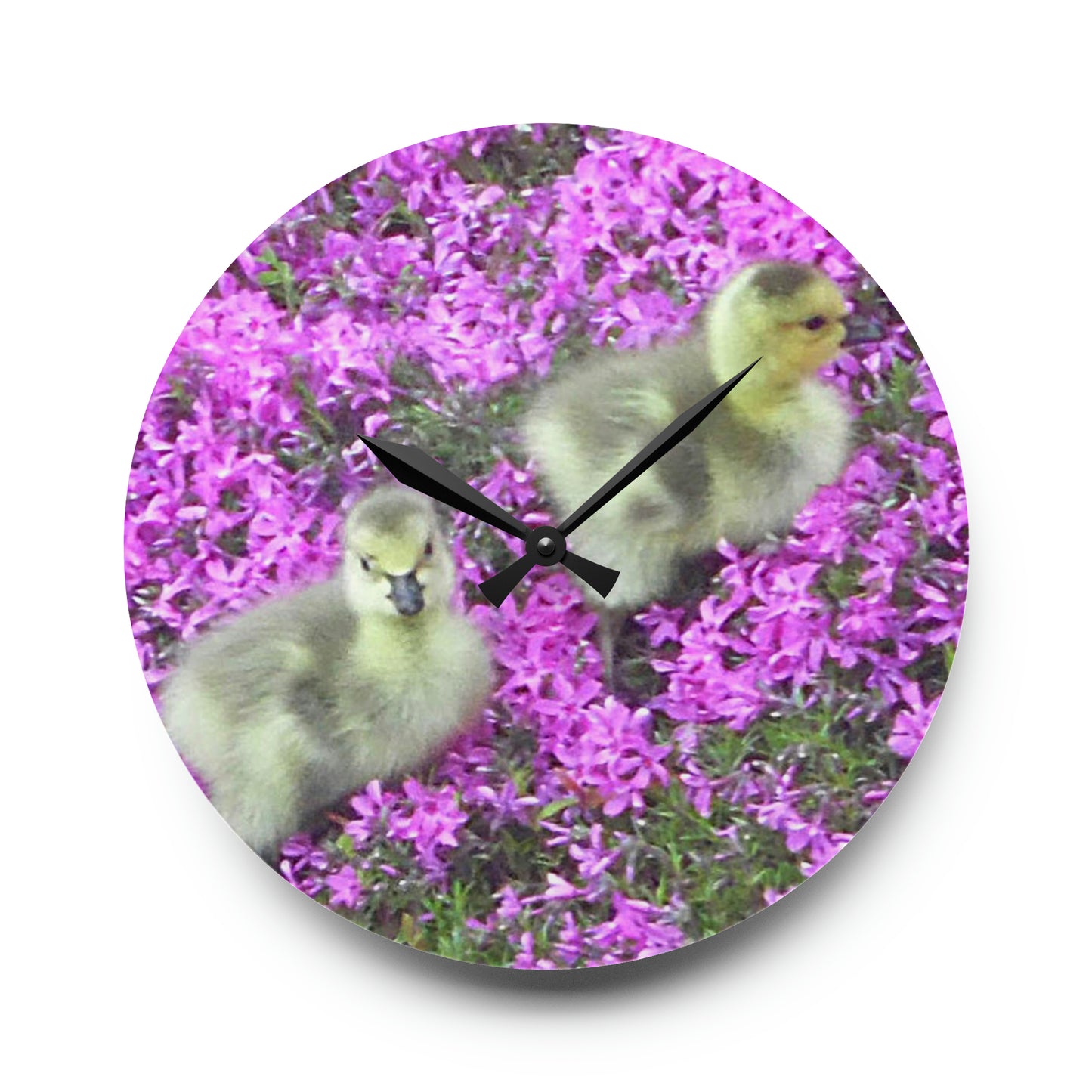 Precious Peeps Acrylic Wall Clock