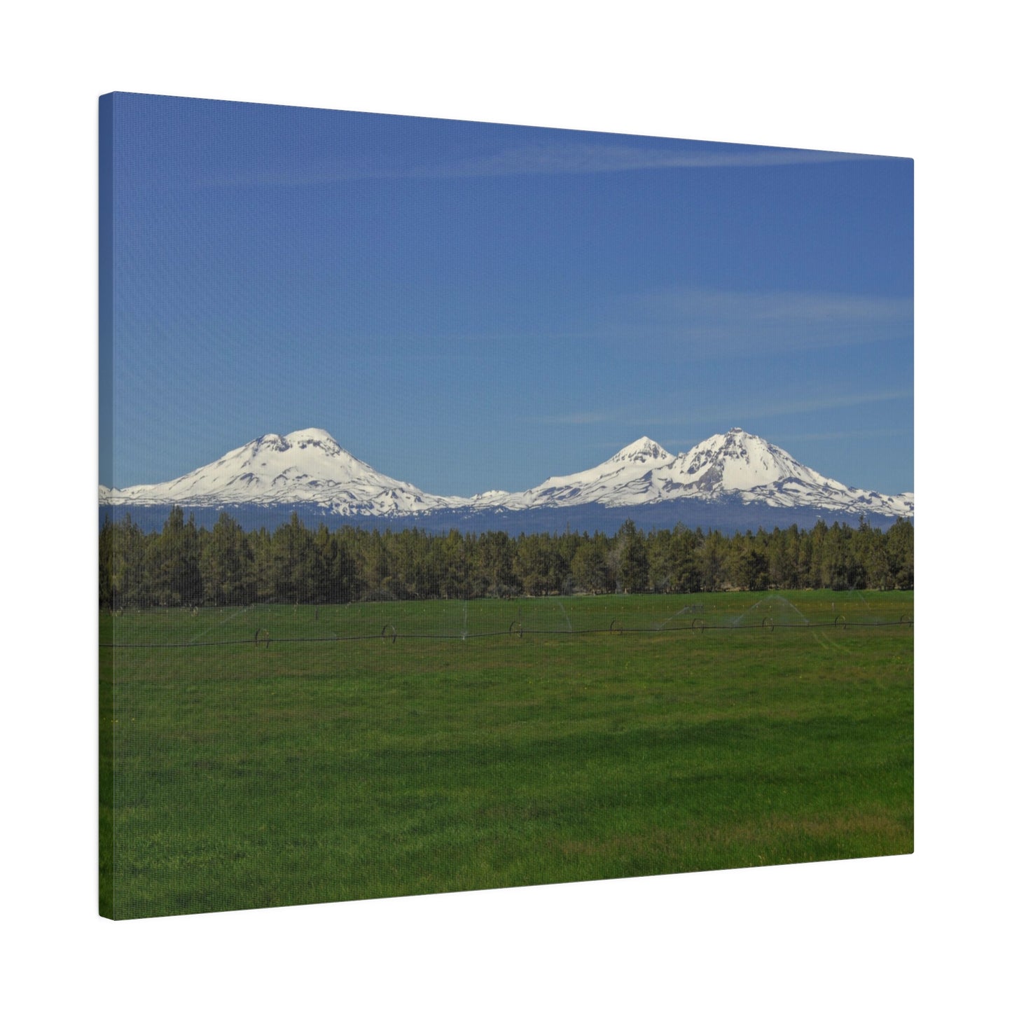 Mountain Field Matte Canvas