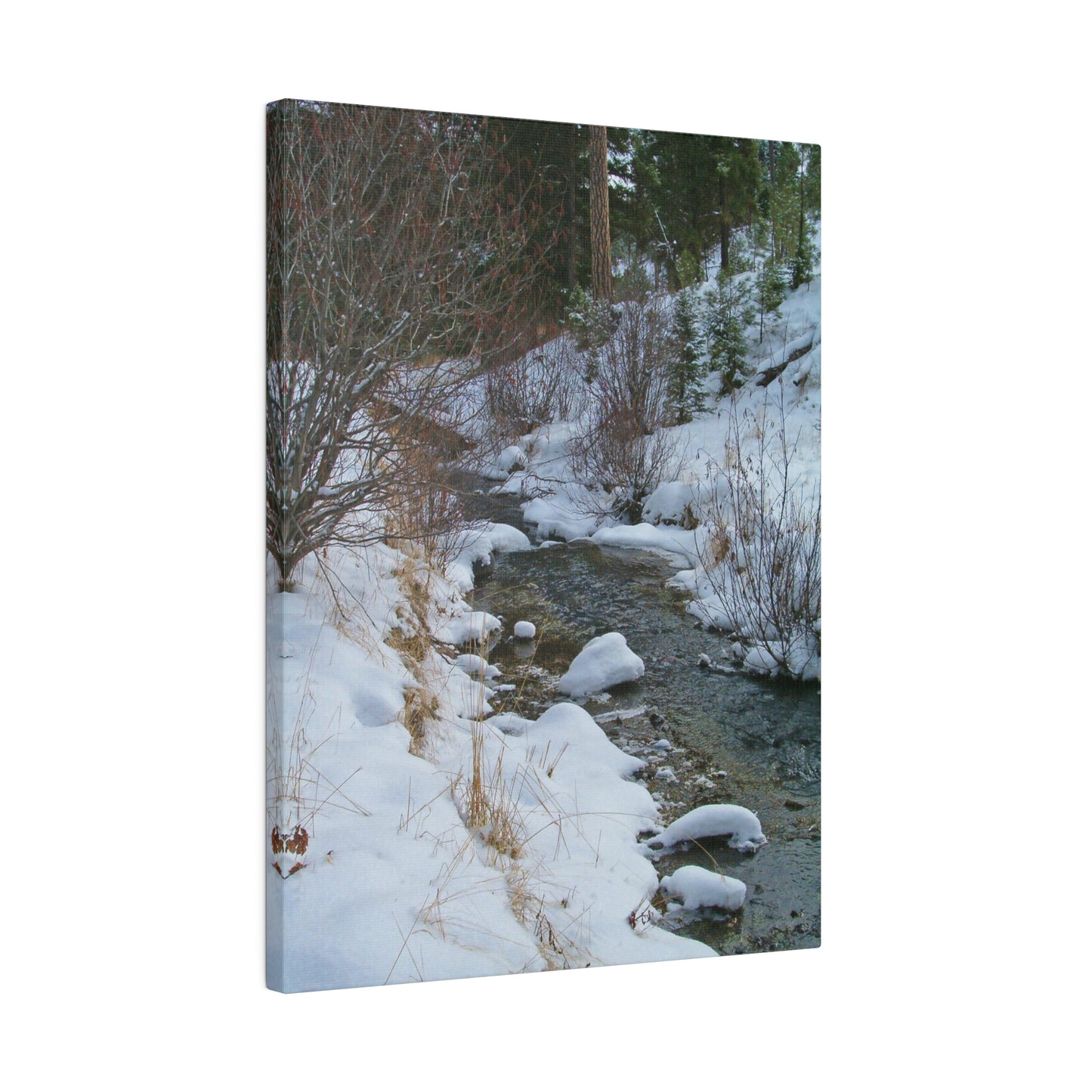 Snowy Creek Matte Canvas