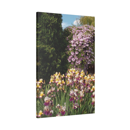 Sunny Iris Garden Matte Canvas