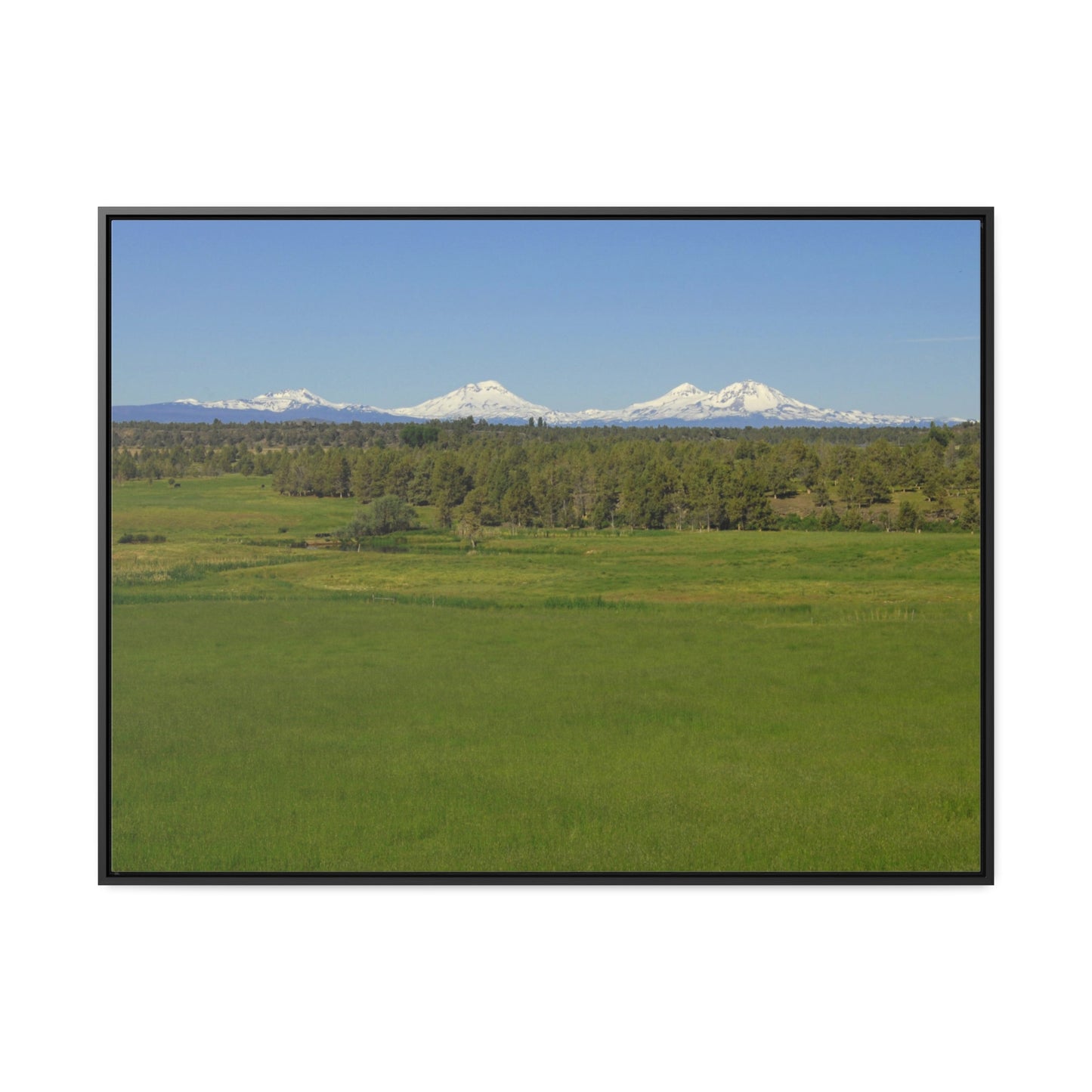 Mountain Meadow Gallery Canvas Wraps Framed