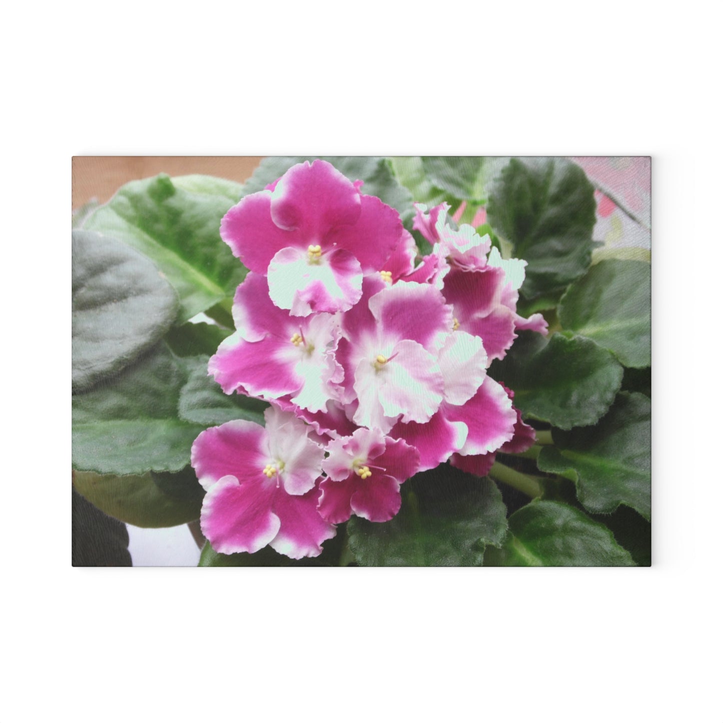 African Violets Glass Cutting Board Hand Wash