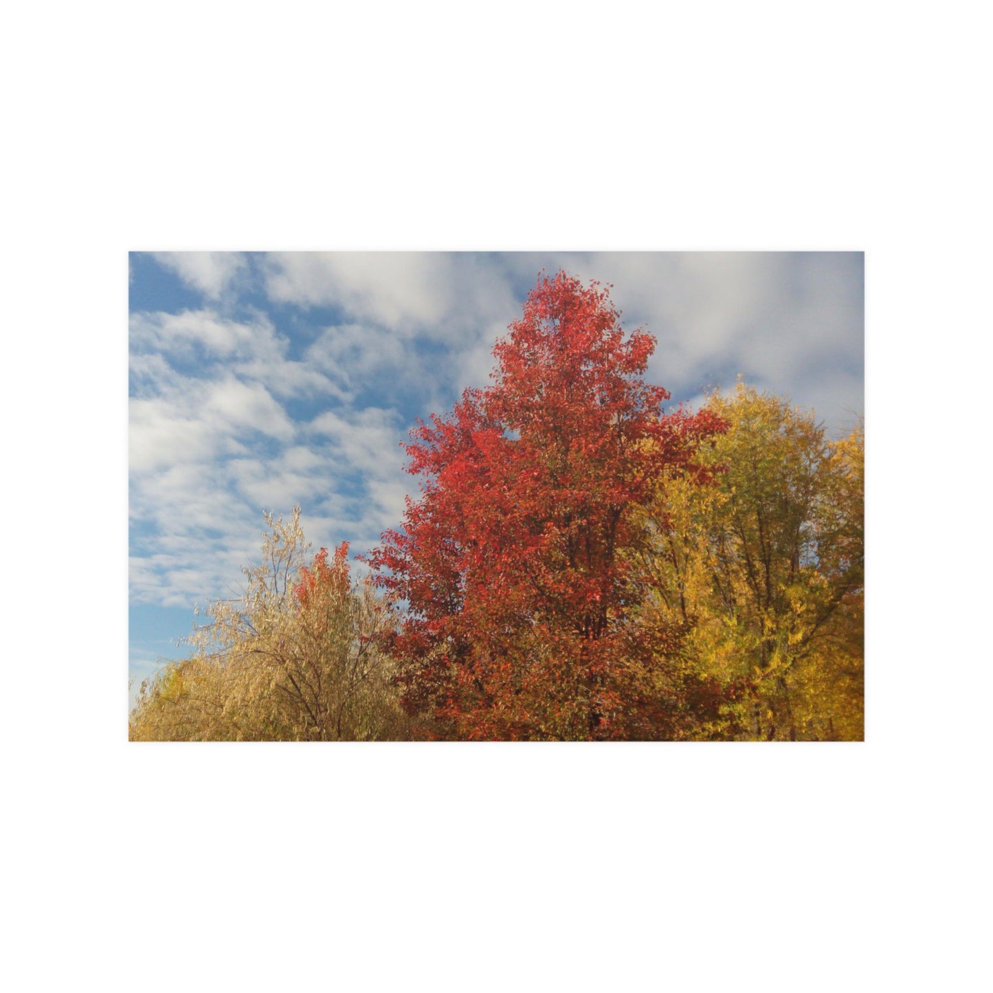 Autumn Sky Satin Posters