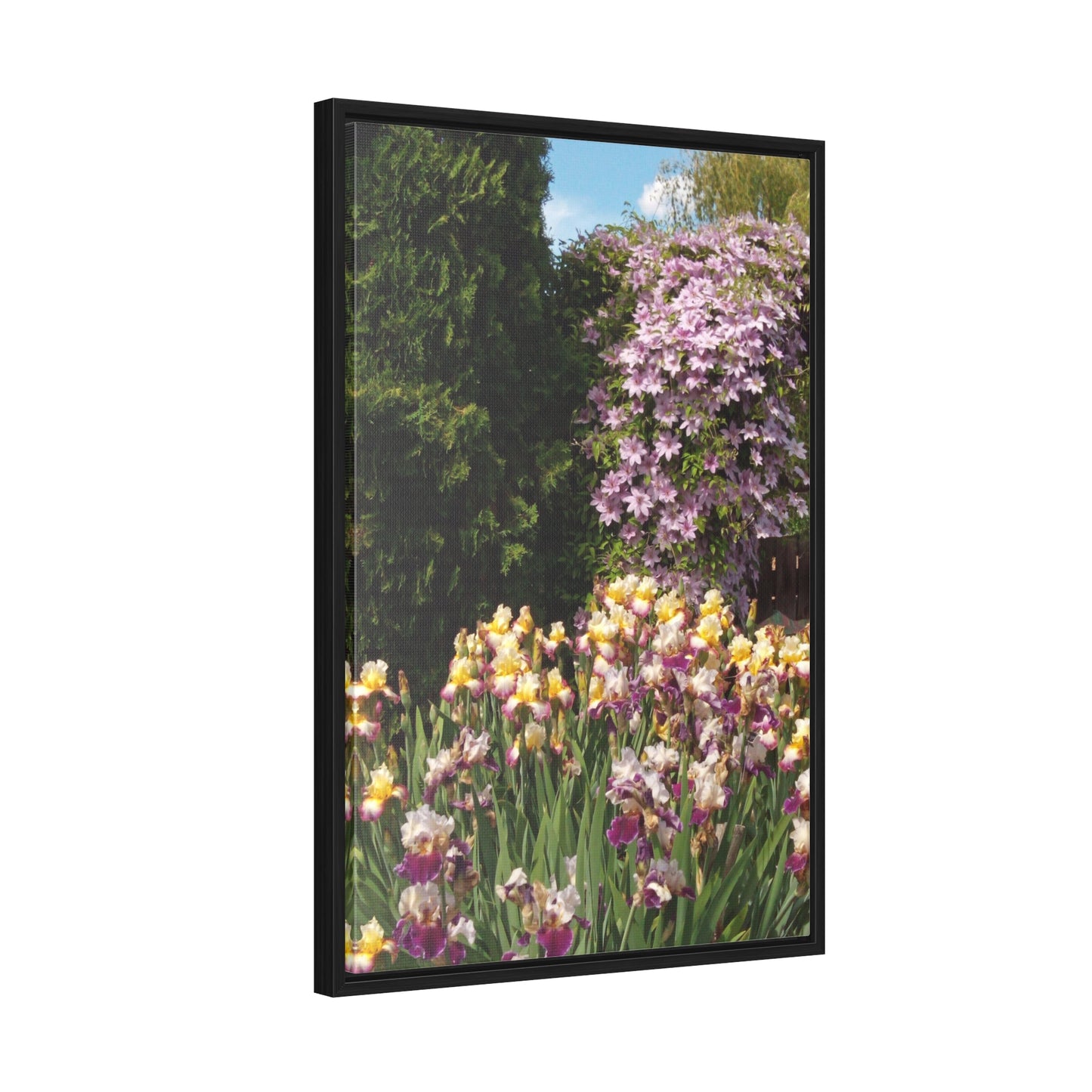 Sunny Iris Garden Gallery Canvas Wraps Framed